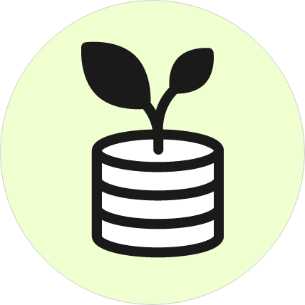 Virtual CFO & Financial Advisory