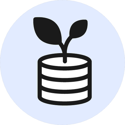 Virtual CFO & Financial Advisory